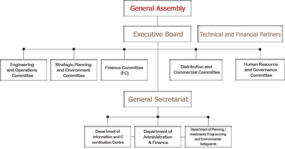 Governing Structures